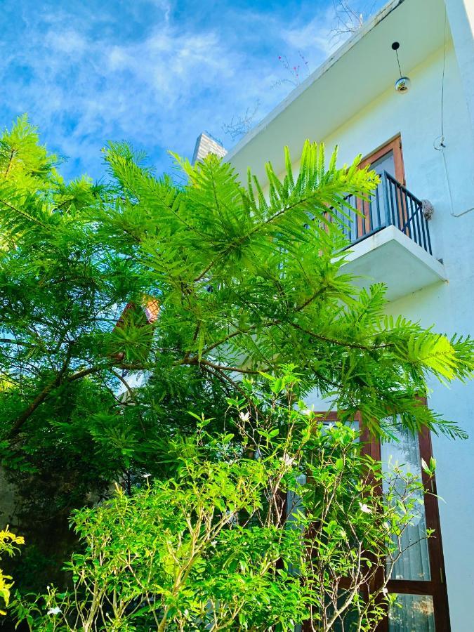 Jungle City Hostel Galle Zewnętrze zdjęcie