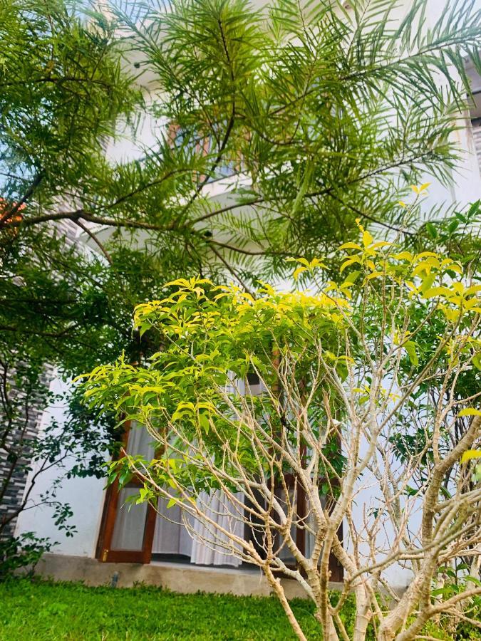 Jungle City Hostel Galle Zewnętrze zdjęcie
