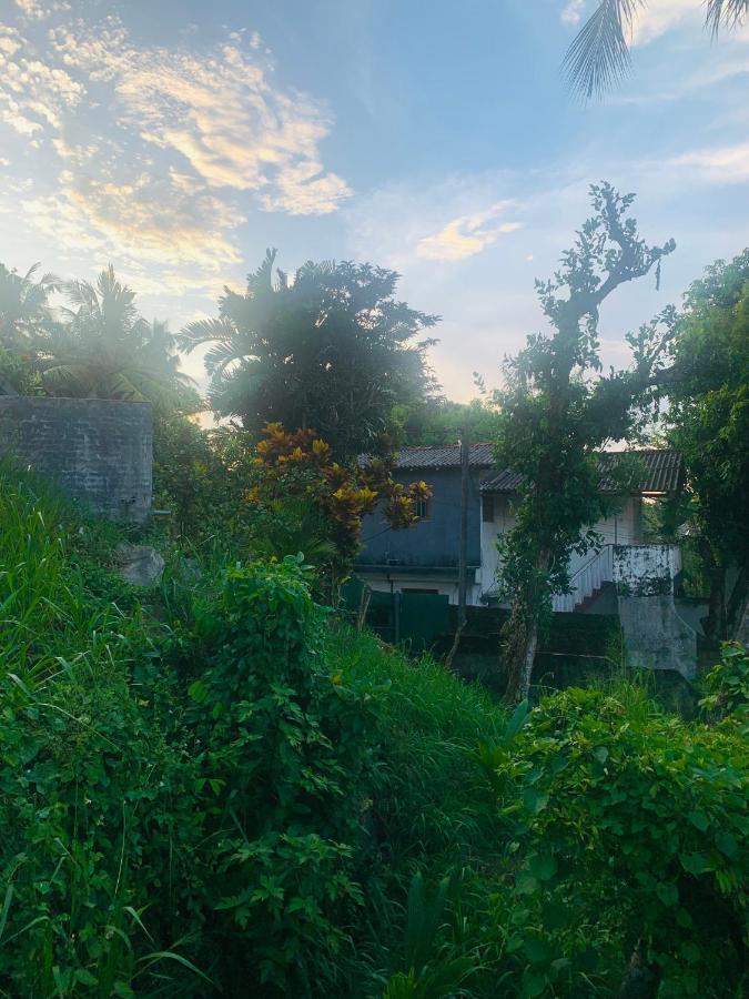 Jungle City Hostel Galle Zewnętrze zdjęcie